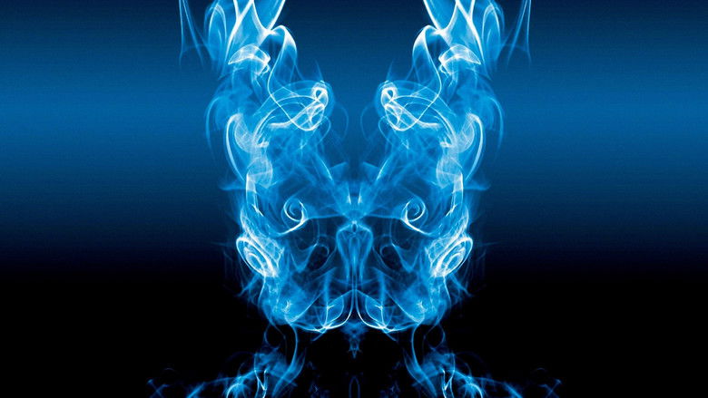 Backdrop de Darko Collection