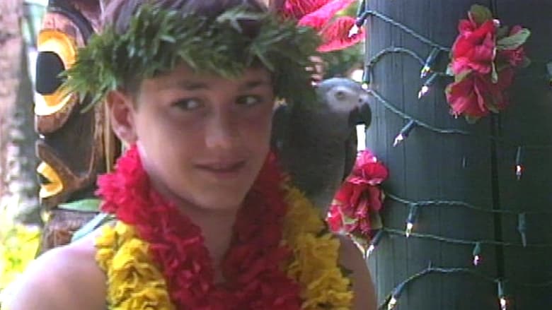 Iki Haole: Nico's Hawaiian Adventure main backdrop