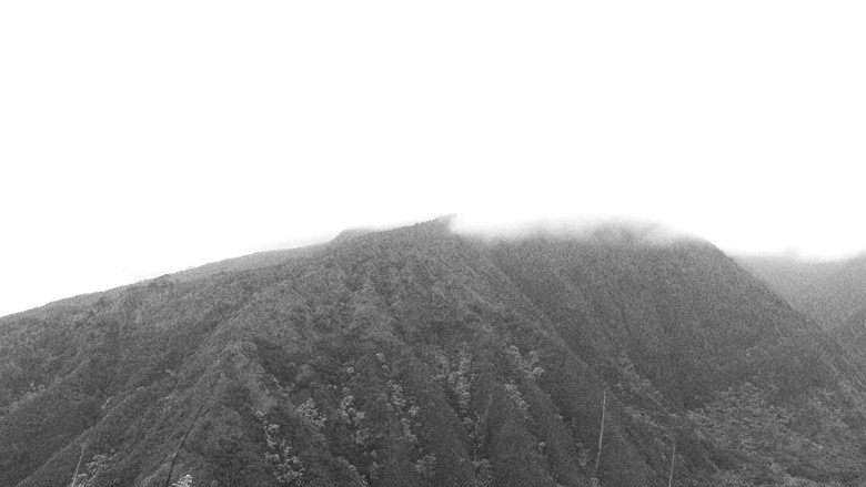 Imatge de Intermediate Steps Between Falsehoods