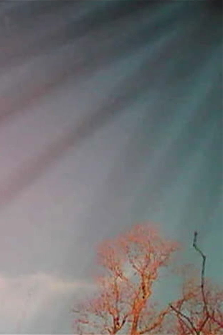 Imatge de Curly Takes a Bath by the Sea