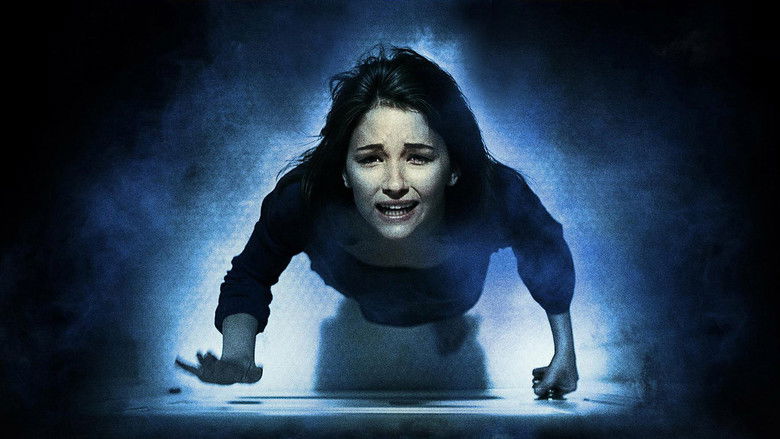 Backdrop de Molly Hartley Collection