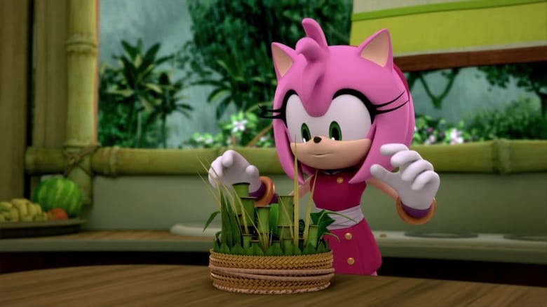 Sonic Boom Season 1 Episode 47