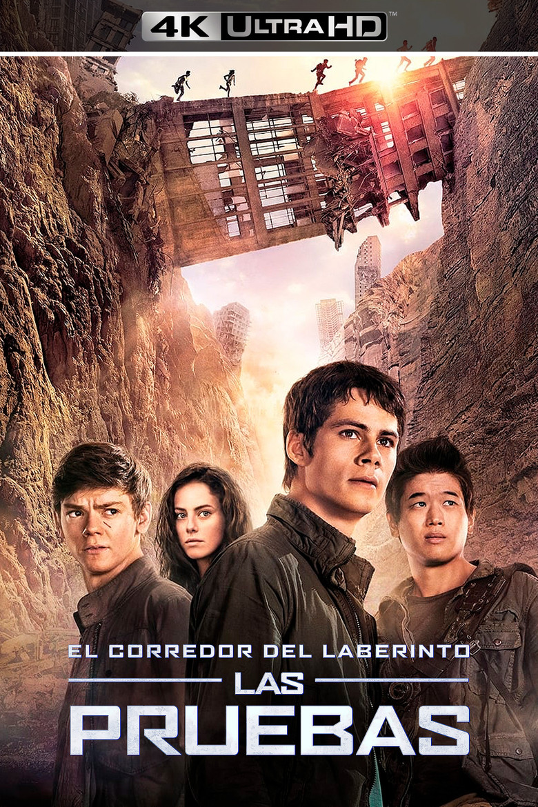 Póster la Película