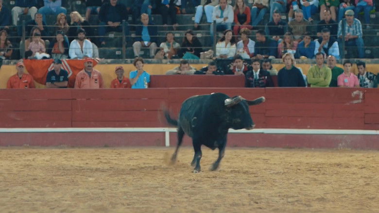 Gallery image from oiv7dYln1NzA8eqt2yJWePm7Tev.jpg