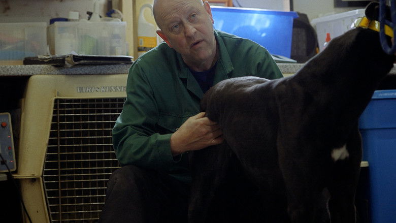 Going to the Dogs (2025)