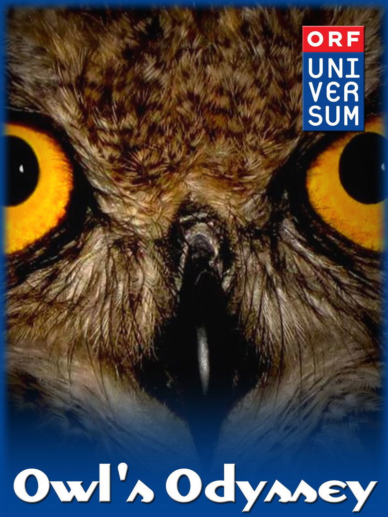 Imatge de Owl's Odyssey