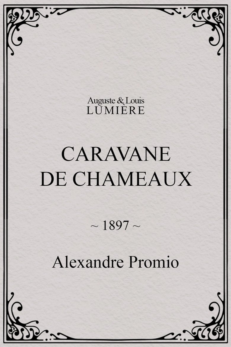 Caravane de chameaux