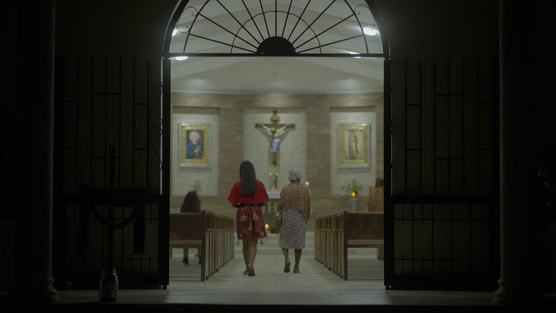 Imatge de Flores de mi tierra