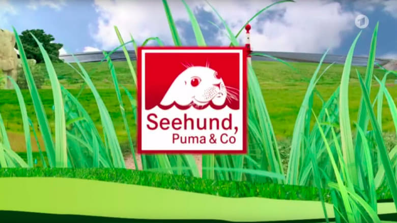 Seehund, Puma & Co.