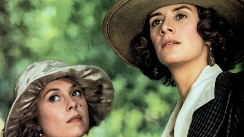 Gallery image from okdfGeEbxiqwspLNbAd04RL1rxh.jpg