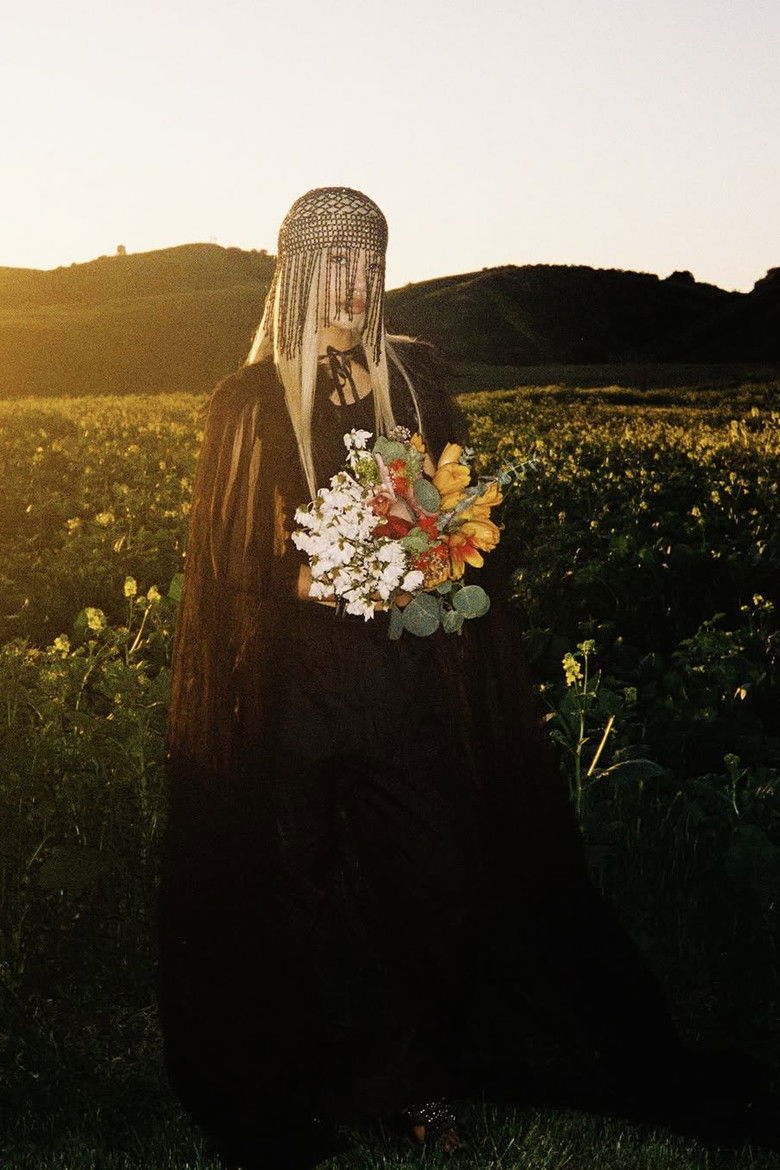 Imatge de Molly and Her Week of Wonders