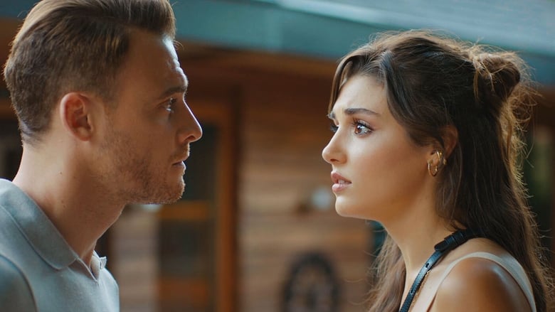 Episodio 82 Love Is In The Air
