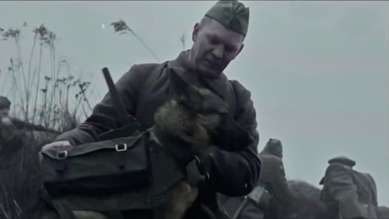 watch The War Dog - Ihre letzte Hoffnung now