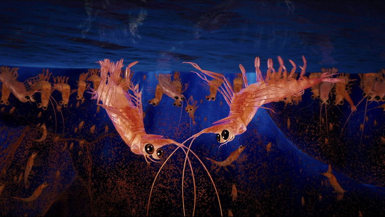 Image d'arrière-plan 11 du film Happy Feet 2