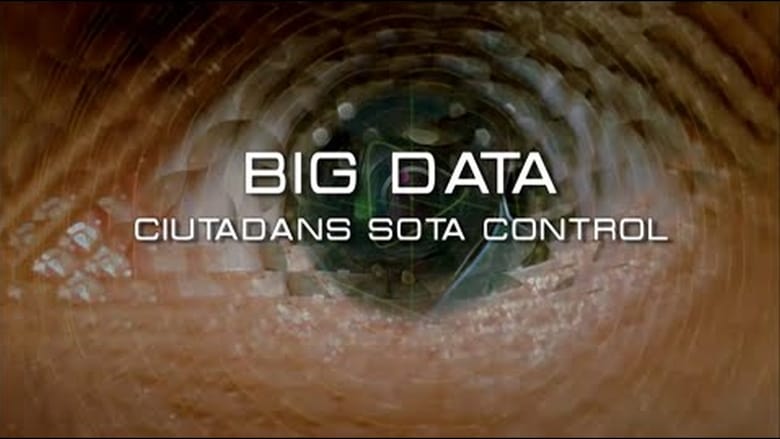 Big Data. Ciudadanos bajo control movie poster