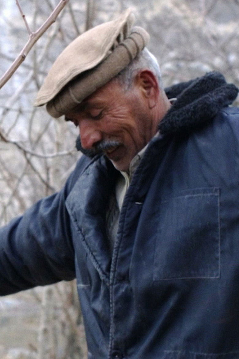 Imatge de The Absence of Apricots