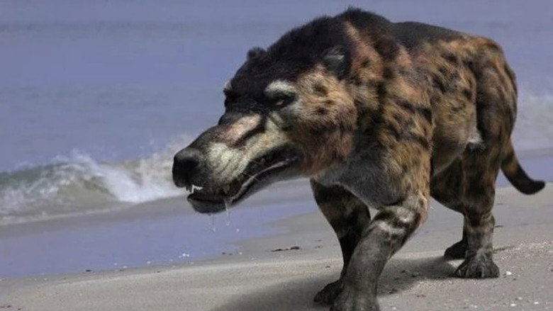 Still from Walking with Beasts - Season 1 Episode 2