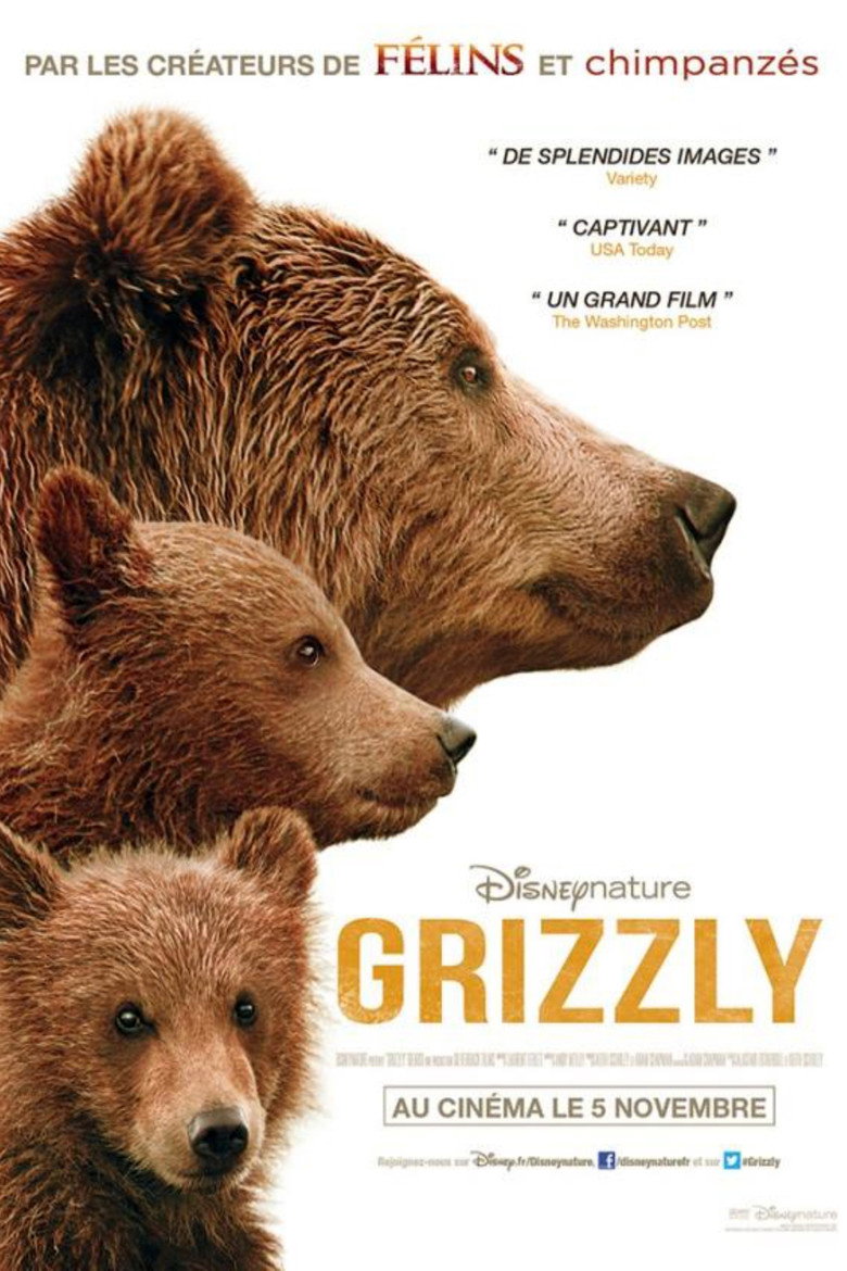 Póster la Película