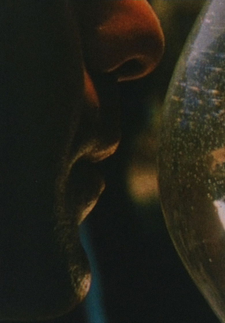 Imatge de Early Monthly Segments