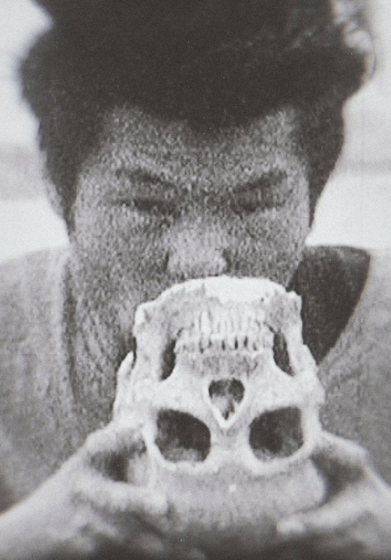 Imatge de 武甲風葬