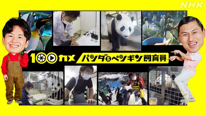 Still image for 100CAM season 1 episode 31: Episode 31 Still image for 100CAM season 1 episode 31: Episode 31