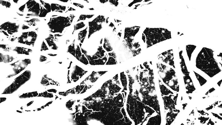 XIBALBA: My Walking Cortex (2026)