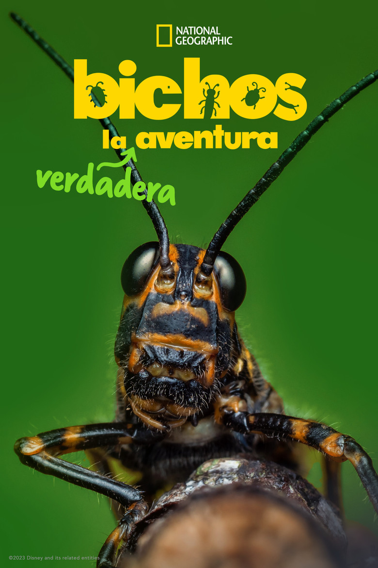 Bichos: Una verdadera aventura en miniatura