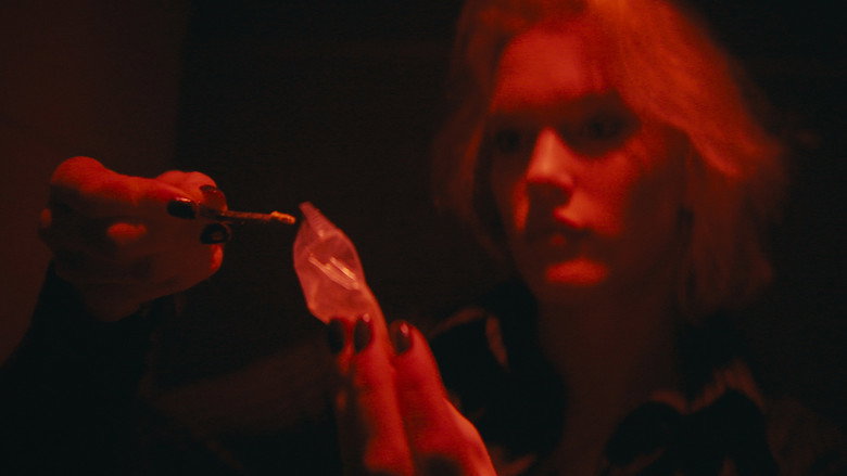 Imatge de Geen groen licht