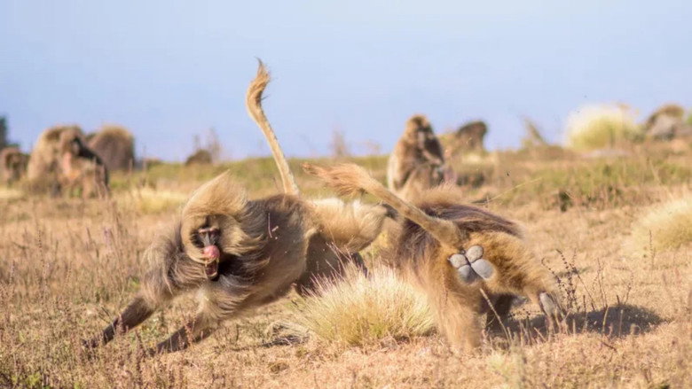 Imatge de Le royaume des nuages