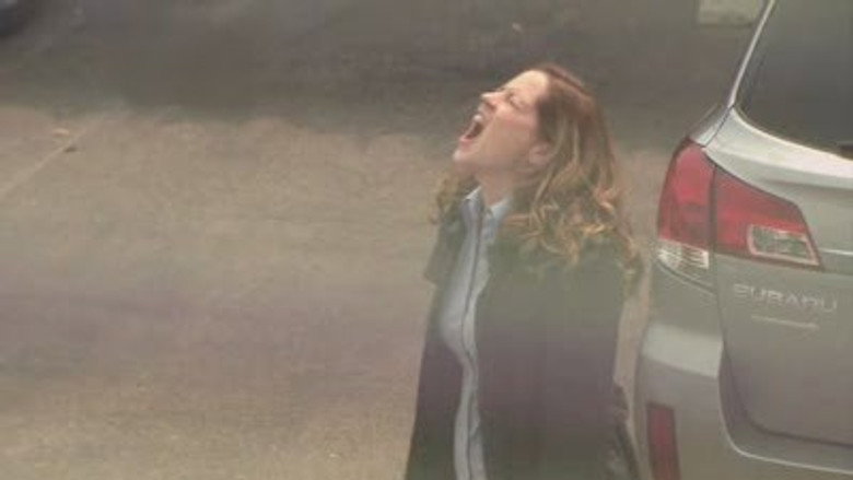 The Office S06E07 — The Lover episode still