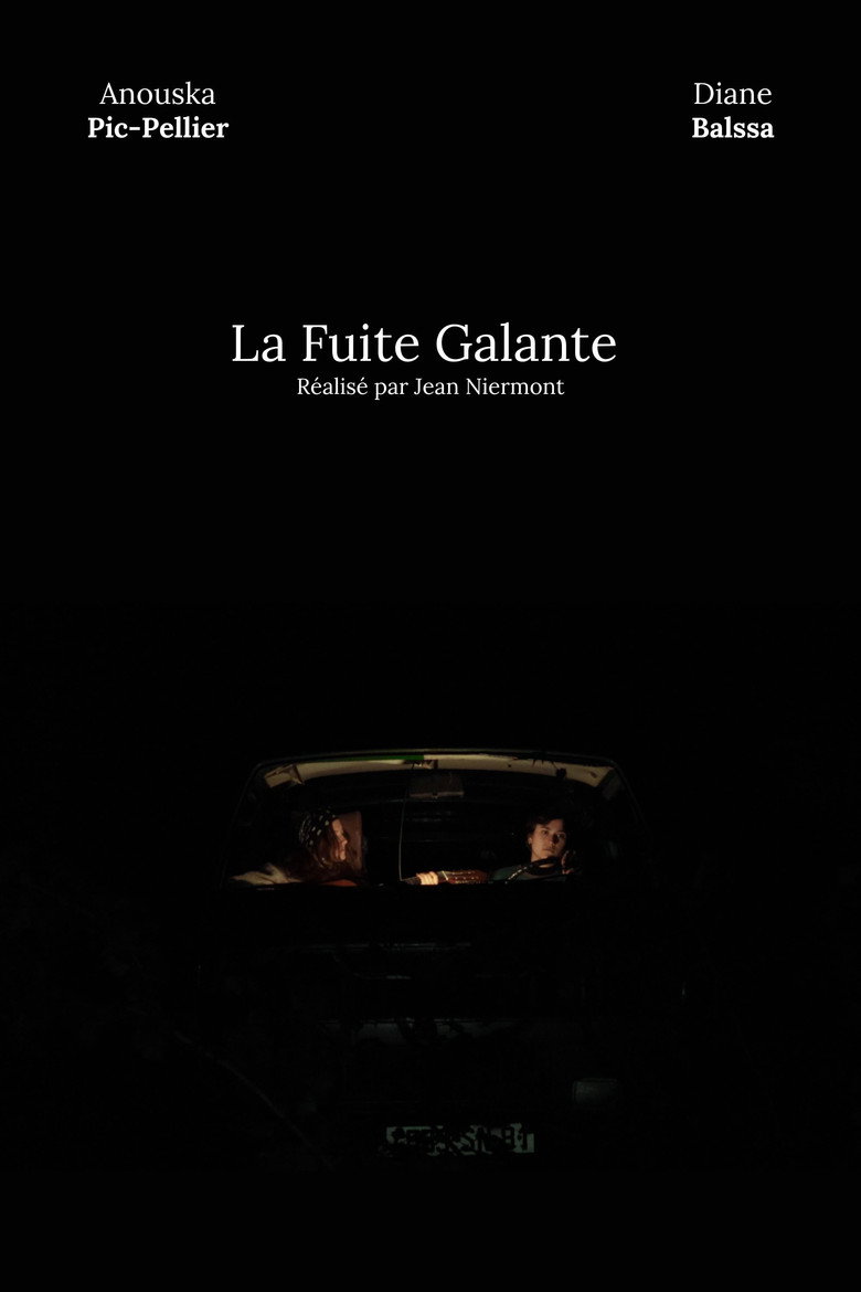 Imatge de La fuite galante