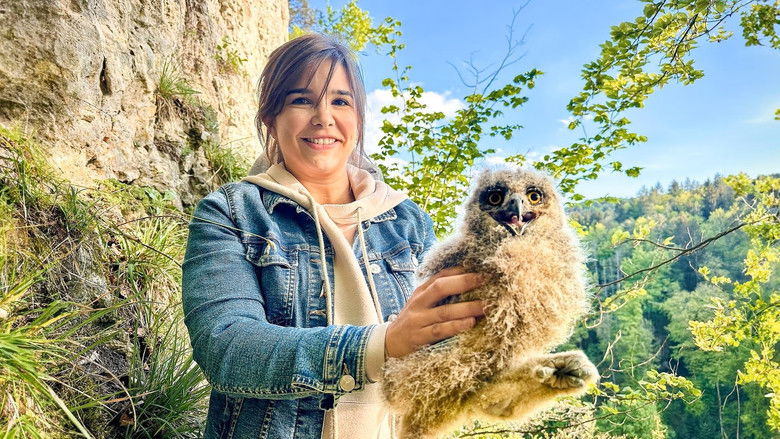 Still image for Anna und die wilden Tiere season 1 episode 108: Episode 108 Still image for Anna und die wilden Tiere season 1 episode 108: Episode 108