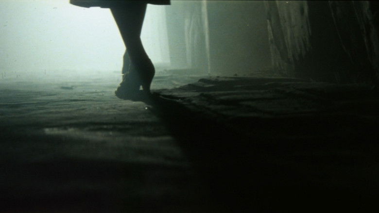 Os0js4cxssobdh9oxvwrb9tri3u