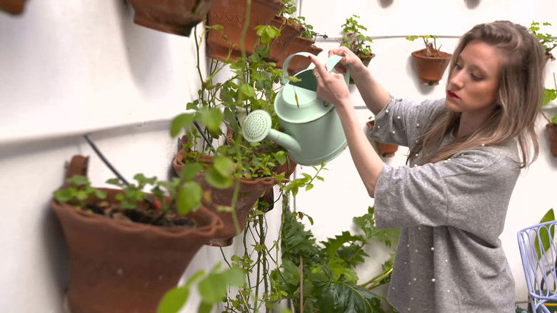 Still image for Bienvenidos a mi Hotel season 1 episode 7: Episode 7