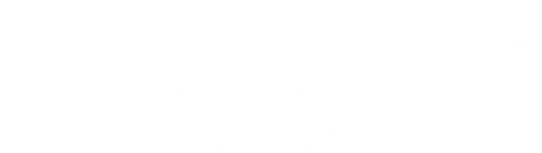 Skandal! Bringing Down Wirecard