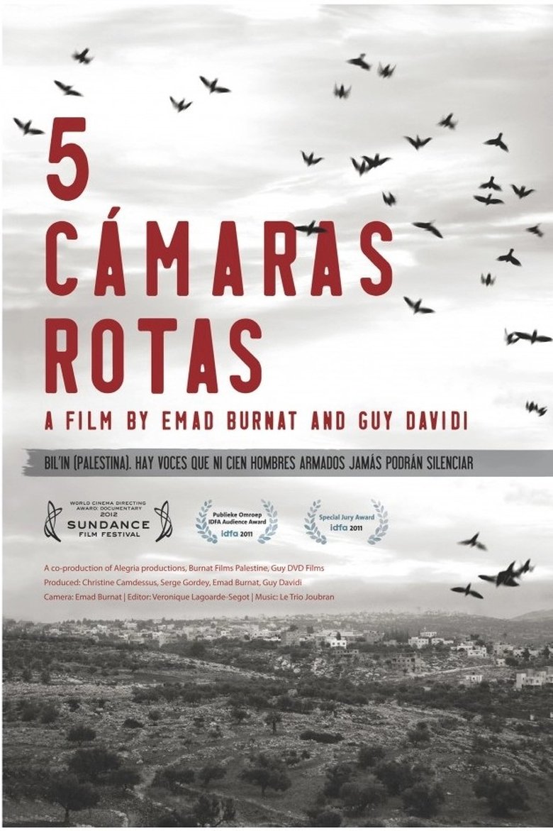 Poster 5 cámaras rotas