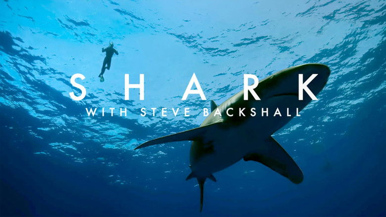 Shark with Steve Backshall backdrop 8
