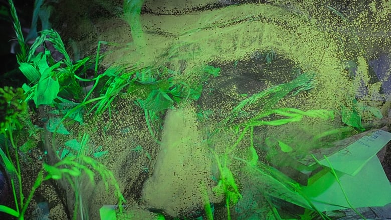 Gallery image from otd9jmwMFhBjnHo5mJJyg2Imdj0.jpg