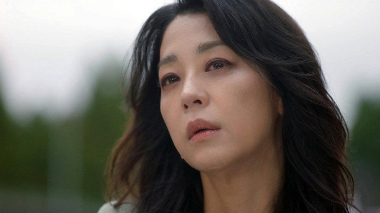 가족관계증명서 시즌 1 25화
