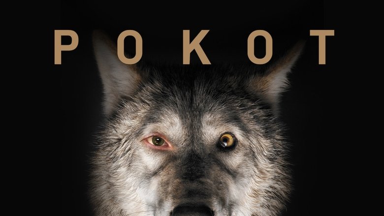 Spoor (2017)