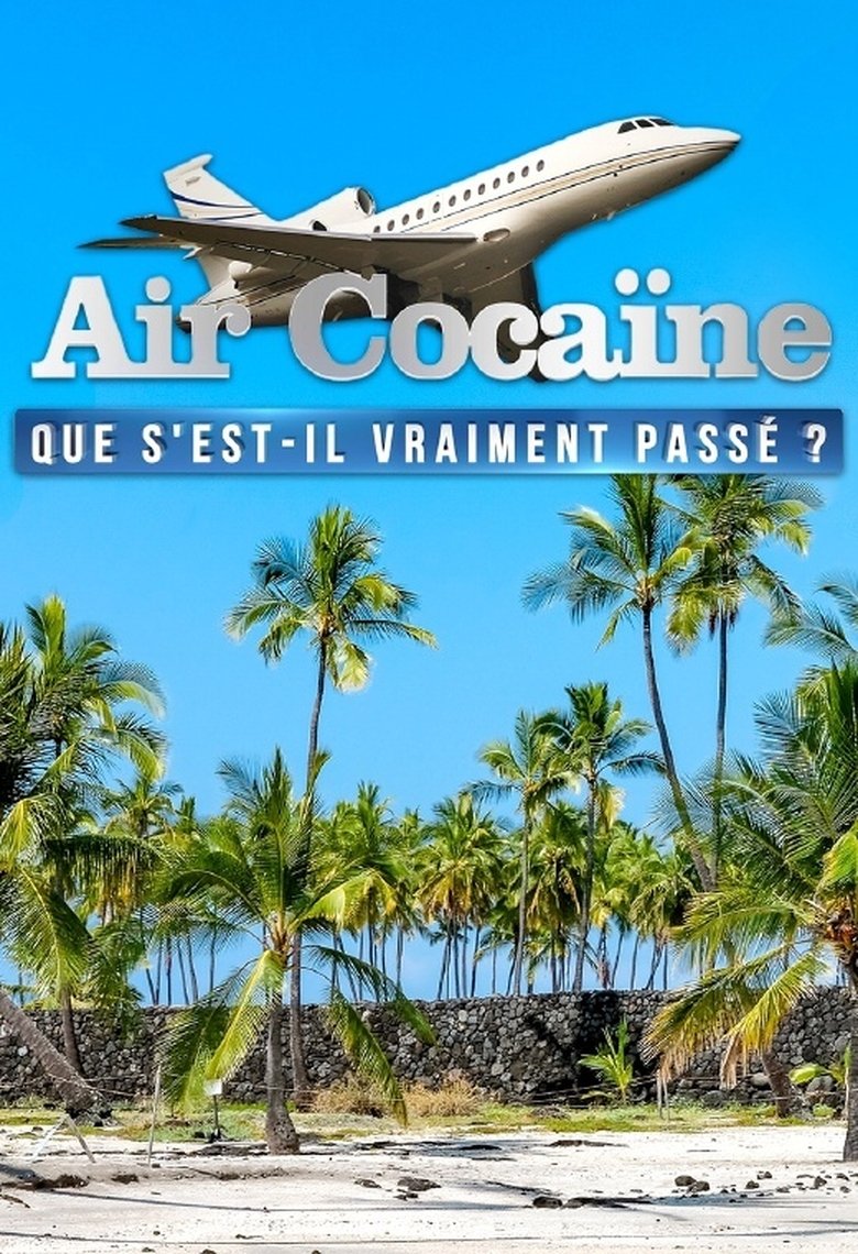 Air cocaïne : que s'est-il vraiment passé ? (2019)