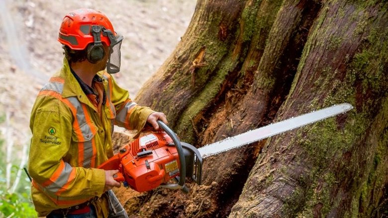 Still image for The Last Woodsmen season 1 episode 2: Broken Limbs