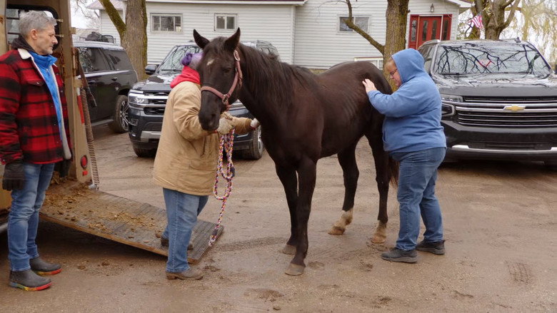 Still from The Incredible Dr. Pol - Season 24 Episode 8