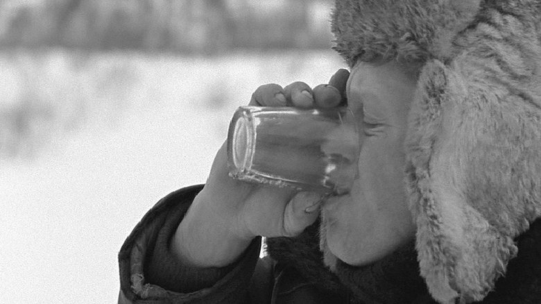 Vodka: A Russian Fairytale movie poster