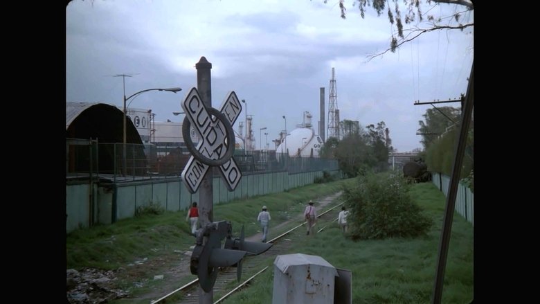 Gallery image from owRNN7cncaJe8grpKBFyufODxZ2.jpg