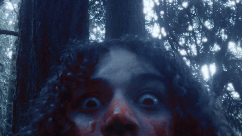 Gallery image from owT6estMTHvIDxg5FMXA0Y4QCqX.jpg