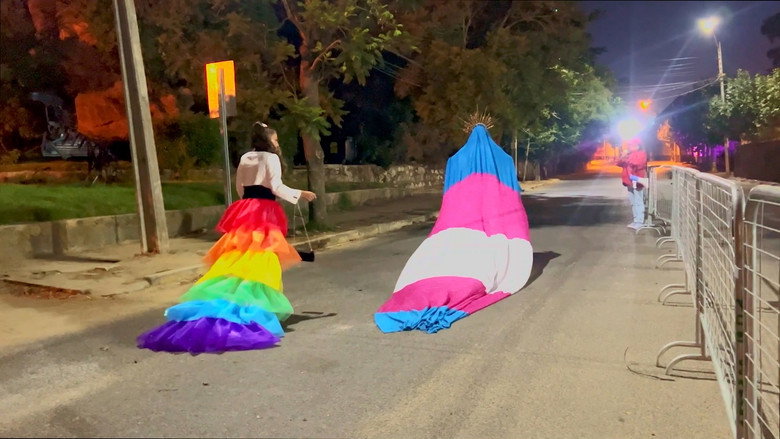 Imatge de Gabriela Misstrans: Delirio Disidente