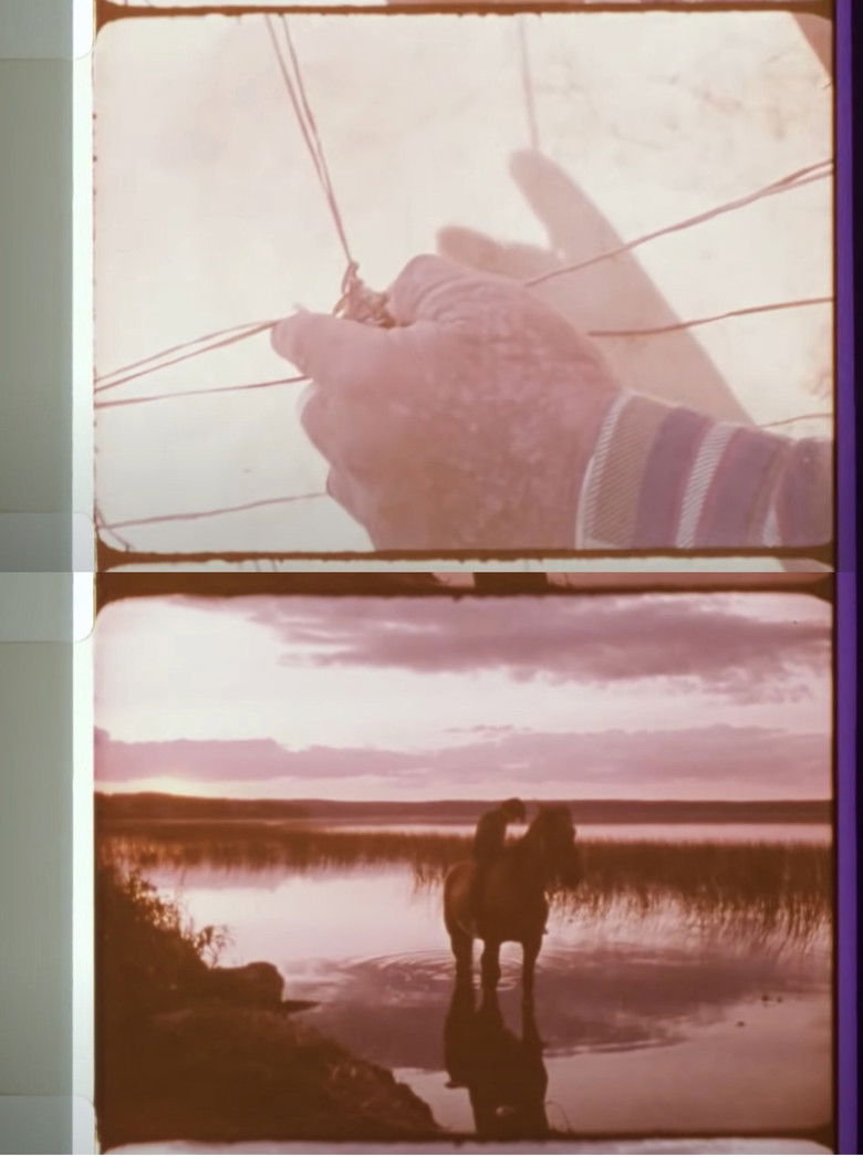 Imatge de This Place – Chipewyan Lake