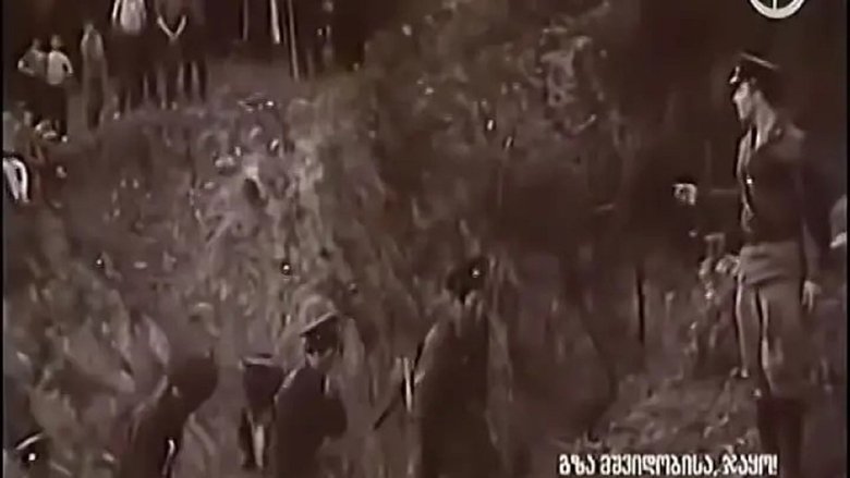 Gallery image from oxfHMYc4OMq9Jg4xWXIgaUkOhFG.jpg