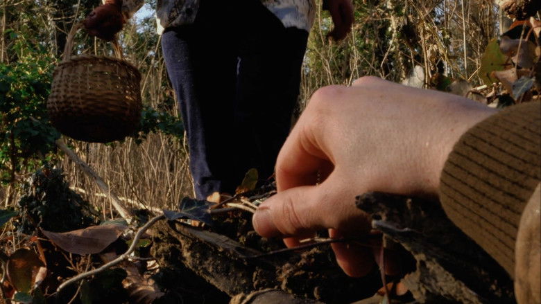 Image d'arrière-plan 1 du film Champivore